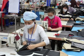 Ảnh minh họa. (Ảnh: Đình Huệ/TTXVN)