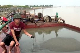FLC vẫn tiếp tục khai thác cát trái quy định để làm sân golf