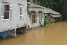 Phú Thọ: Hàng trăm tấn cá đặc sản bị chết do mưa lũ
