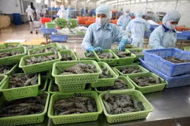 Xuất khẩu tôm của Việt Nam sang Trung Quốc tăng mạnh