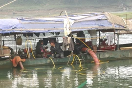 Nhức nhối nạn khai thác cát bừa bãi trên sông Đồng Nai