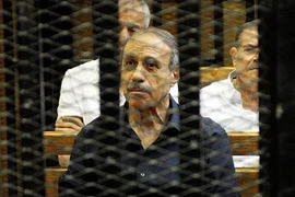 Cựu Bộ trưởng Nội vụ Ai Cập al-Adly được tuyên trắng án