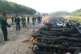 Tỉnh Sơn La tổ chức tiêu hủy hơn 7kg ma túy từ 9 vụ án