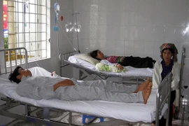 Lai Châu: 6 người ngộ độc "do ăn bọ xít đen" đã xuất viện