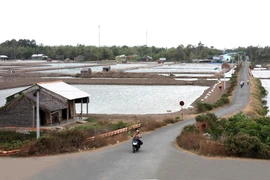 Phó Thủ tướng kiểm tra việc xây dựng nông thôn mới ở Trà Vinh