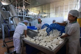 Cơ hội và thách thức đối với doanh nghiệp vừa và nhỏ ĐBSCL