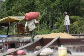 Cơ bản hoàn thành chỉ tiêu thu mua tạm trữ 1 triệu tấn quy gạo