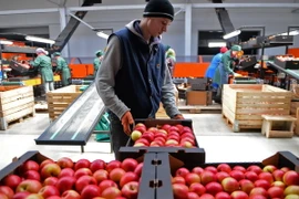 "Chính sách cô lập Nga sẽ thất bại giống như trường hợp Cuba"