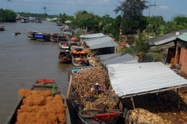 Chủ tịch Quốc hội Lào Pany Yathotou thăm và làm việc tại Bến Tre