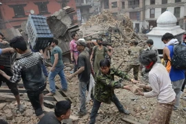 Người Nepal dùng tay không đào đất cứu nạn nhân động đất