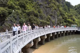 Các đại biểu đến tham quan động Thiên Cung. (Ảnh: Dương Giang/TTXVN)
