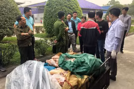 Xe thịt gà được cho là đi rã đông. (Ảnh: Ninh Đức Phương/TTXVN)