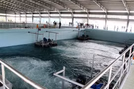 Hệ thống xử lý nước thải tại Nhà máy xử lý nước thải Dĩ An. (Ảnh minh họa: Nguyễn Văn Việt/TTXVN)
