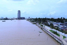 Sông Cần Thơ. (Ảnh: Vũ Sinh/– TTXVN)