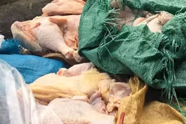 Thịt gà đông lạnh. (Ảnh minh họa: Ninh Đức Phương/TTXVN)