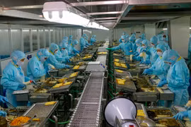 Khu vực sản xuất tôm tempura trong Công ty Seavina,Cần Thơ. (Ảnh: Thanh Liêm/TTXVN)