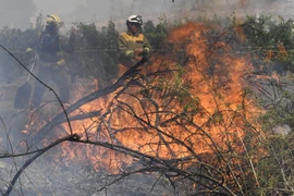 Tây Ban Nha: 15 cộng đồng tự trị bị ảnh hưởng do cháy rừng