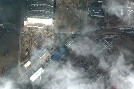 Anh và Brazil kêu gọi nhanh chóng đạt được lệnh ngừng bắn tại Ukraine