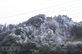 Vùng núi Bắc Bộ và Bắc Trung Bộ duy trì rét hại, có nơi dưới 0 độ C