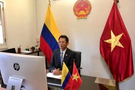 Việt Nam thúc đẩy hợp tác với các địa phương của Venezuela