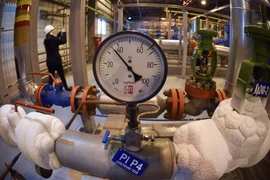 WTO cảnh báo căng thẳng Nga-Ukraine ảnh hưởng lớn thương mại toàn cầu