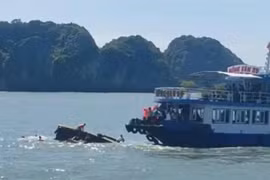 Va chạm tàu trên vịnh Lan Hạ: Bảo đảm chữa trị tốt nhất với nạn nhân