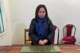 Cao Bằng: Bắt đối tượng mua bán trái phép 6 bánh heroin