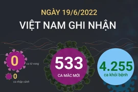 [Infographics] Ngày 19/6, cả nước ghi nhận 533 ca mắc mới COVID-19