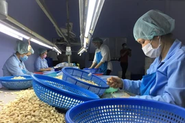 Xuất khẩu nông sản khó khăn ra sao khi Nga bị loại khỏi SWIFT?