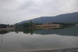 Hơn 10.000 sổ đỏ bị cấp sai hạn mức: Hà Nội giao Thanh tra vào cuộc