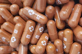 Merck ký cung cấp cho UNICEF 3 triệu liệu trình thuốc molnupiravir
