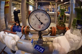 EC cho phép các doanh nghiệp mua khí đốt của Nga bằng đồng ruble