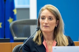 Bầu cử Chủ tịch Nghị viện châu Âu vẫn diễn ra theo kế hoạch