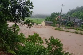 Phú Thọ: Mưa lớn gây thiệt hại nhiều tài sản của người dân