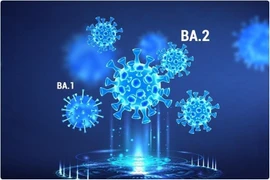 Chuyên gia cảnh báo nguy cơ xuất hiện biến thể nguy hiểm hơn Omicron