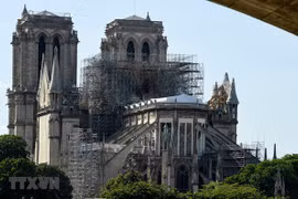 Pháp: Phát lộ mộ cổ từ thế kỷ 14 bên dưới Nhà thờ Đức Bà Paris