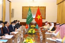Bộ trưởng Bùi Thanh Sơn hội đàm với Bộ trưởng Ngoại giao Saudi Arabia