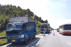 Dừng đỗ tại làn khẩn cấp trên cao tốc, tài xế bị xe tải đâm tử vong