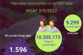 [Infographics] Cập nhật tình hình dịch COVID-19 tại Việt Nam ngày 3/9