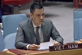 Việt Nam đề xuất UNDP sáng tạo trong huy động nguồn lực cho phát triển