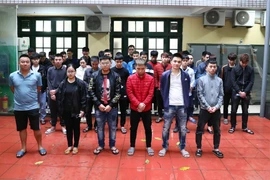 Hà Nội: Triệt phá các ổ nhóm làm giả bằng lái xe giả với quy mô lớn