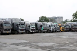 Xuất khẩu hàng hóa qua cửa khẩu Lào Cai diễn ra chậm