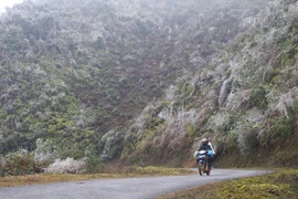 Băng giá bao phủ đỉnh Ca Dằm, tạo nên cảnh tượng thiên nhiên kỳ thú