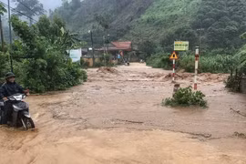 Bắc Giang: Mưa lớn gây ngập úng khoảng 600ha cây ăn quả và hoa màu