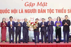 Lãnh đạo Đảng, Nhà nước gặp mặt đại biểu QH là người dân tộc thiểu số