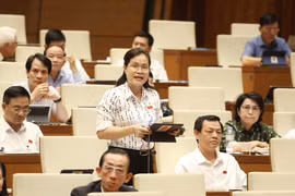 Chất vấn tại Kỳ họp thứ 3: Đáp ứng mong mỏi của cử tri, nhân dân