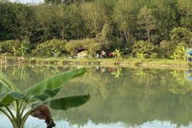 Nam thanh niên tử vong sau khi nhảy xuống hồ bơi trong lúc ăn nhậu