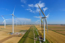 Chính phủ Đức đẩy mạnh sản xuất điện gió đạt tiêu chuẩn sinh thái