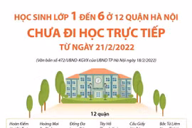 [Infographics] Học sinh từ lớp 1-6 ở các quận chưa đi học từ ngày 21/2