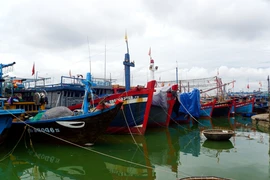 Quảng Bình: Hơn 6.000 tàu cá đã vào nơi tránh trú an toàn